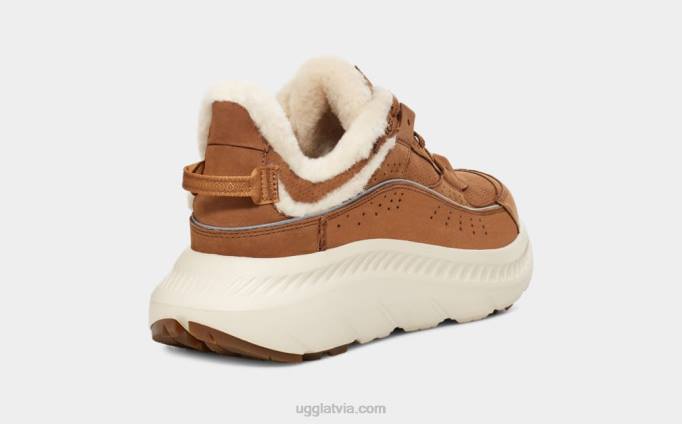 vīriešiem UGG ca805 v2 mantojums Z48J1474 kastanis