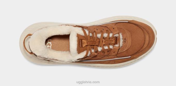 vīriešiem UGG ca805 v2 mantojums Z48J1474 kastanis