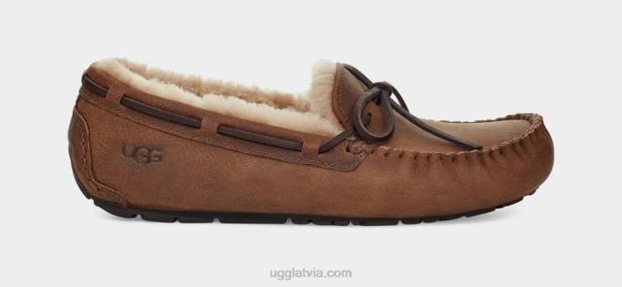 vīriešiem UGG Olsen Z48J203 iedegums