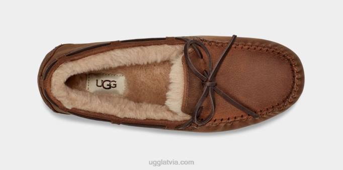 vīriešiem UGG Olsen Z48J203 iedegums