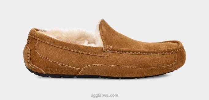 vīriešiem UGG ascot čības Z48J1421 kastanis