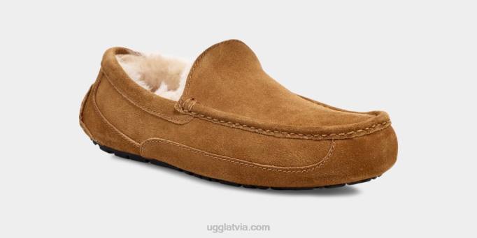 vīriešiem UGG ascot čības Z48J1421 kastanis