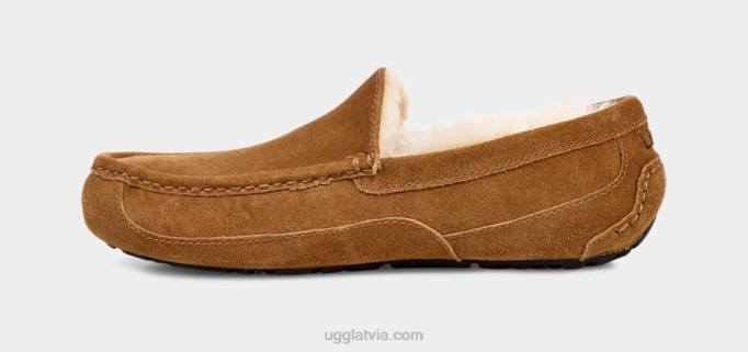 vīriešiem UGG ascot čības Z48J1421 kastanis