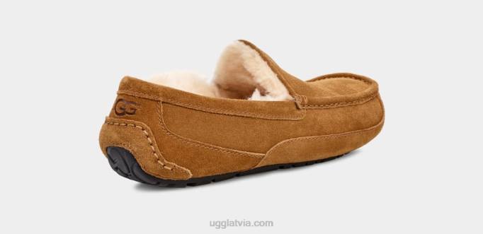 vīriešiem UGG ascot čības Z48J1421 kastanis