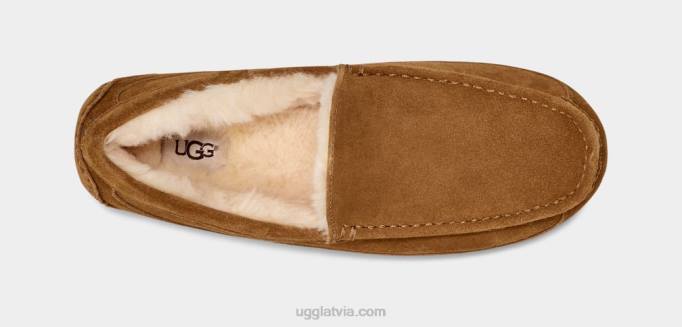 vīriešiem UGG ascot čības Z48J1421 kastanis