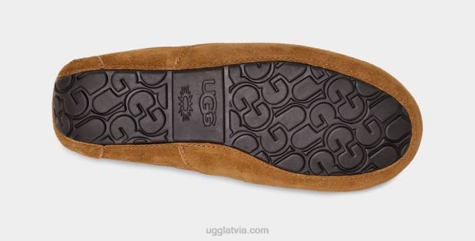 vīriešiem UGG ascot čības Z48J1421 kastanis