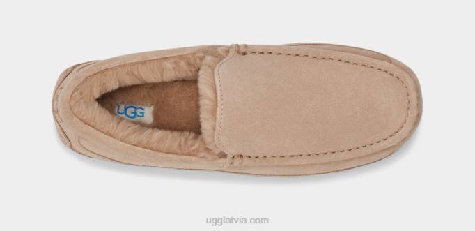 vīriešiem UGG ascot čības Z48J1423 smiltis