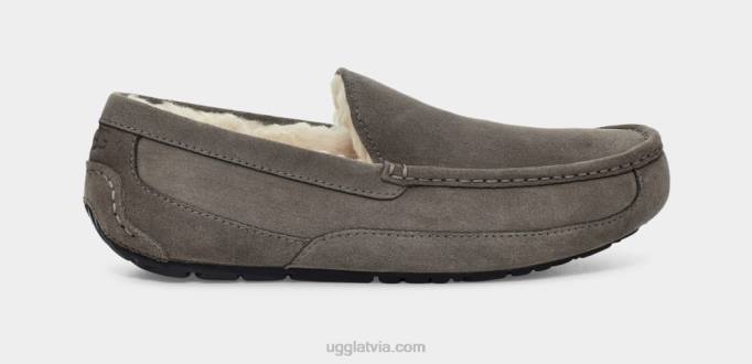 vīriešiem UGG ascot čības Z48J1425 pelēks