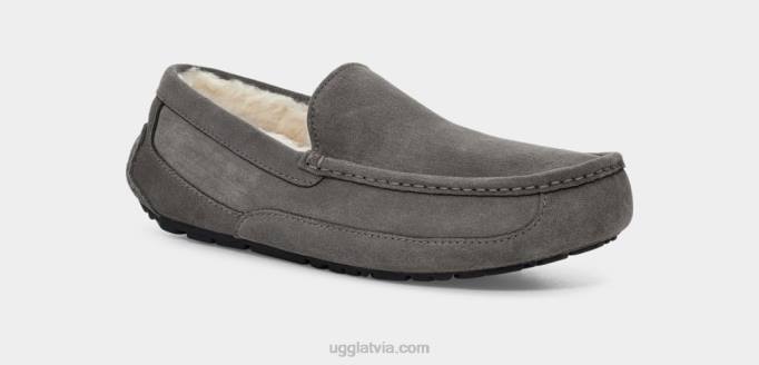vīriešiem UGG ascot čības Z48J1425 pelēks