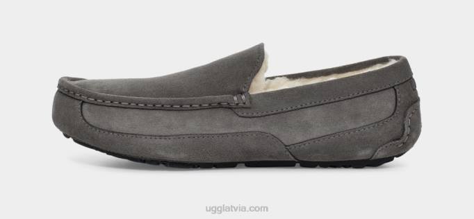 vīriešiem UGG ascot čības Z48J1425 pelēks