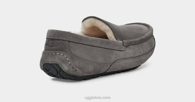 vīriešiem UGG ascot čības Z48J1425 pelēks