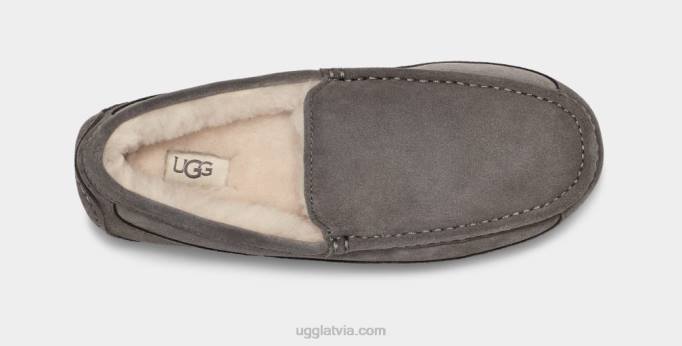 vīriešiem UGG ascot čības Z48J1425 pelēks
