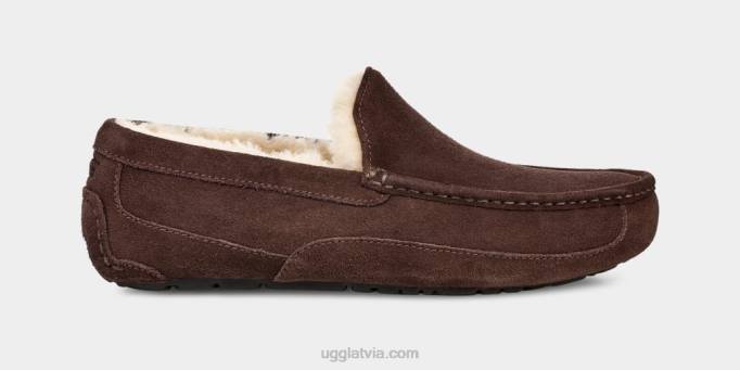 vīriešiem UGG ascot čības Z48J1652 espresso