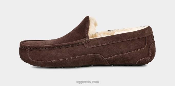 vīriešiem UGG ascot čības Z48J1652 espresso