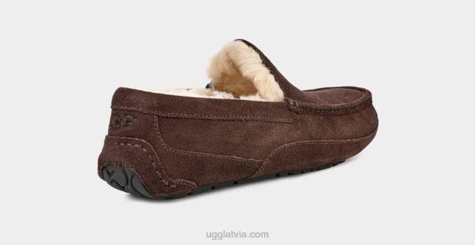 vīriešiem UGG ascot čības Z48J1652 espresso