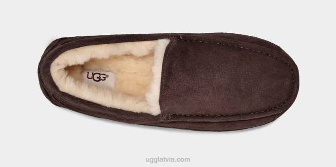 vīriešiem UGG ascot čības Z48J1652 espresso