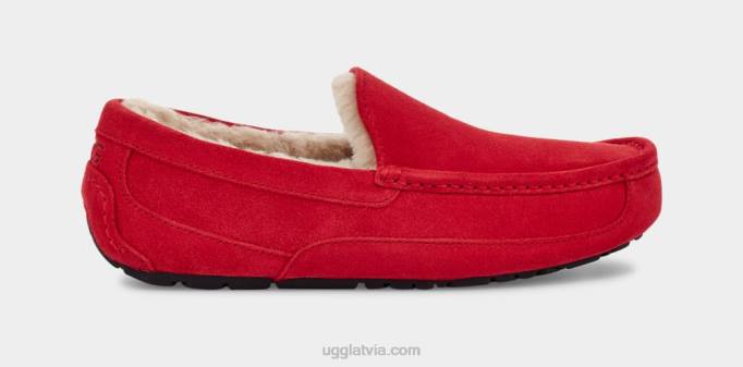 vīriešiem UGG ascot čības Z48J1653 samba sarkana