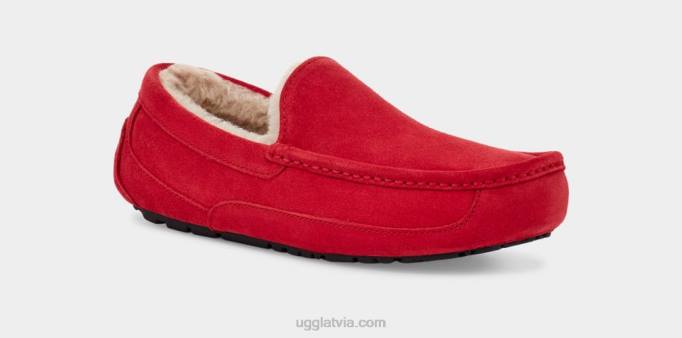 vīriešiem UGG ascot čības Z48J1653 samba sarkana