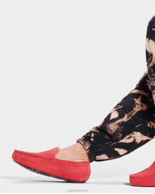 vīriešiem UGG ascot čības Z48J1653 samba sarkana