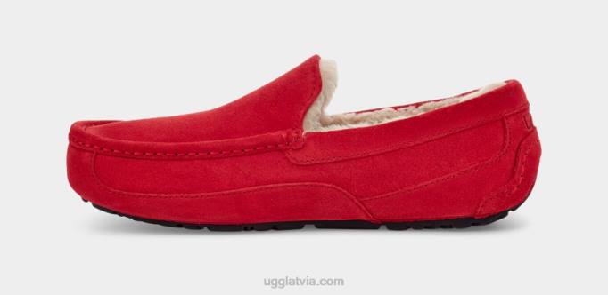 vīriešiem UGG ascot čības Z48J1653 samba sarkana