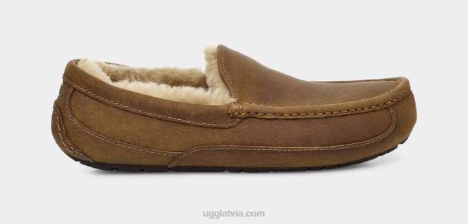 vīriešiem UGG ascot matēta āda Z48J1504 iedegums
