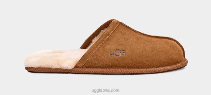 vīriešiem UGG nobrāzums Z48J1426 kastanis