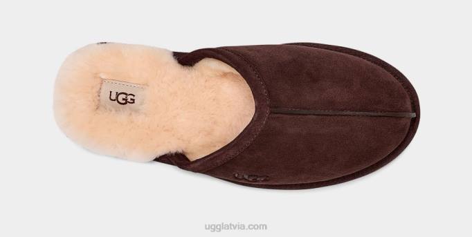 vīriešiem UGG nobrāzums Z48J1552 espresso