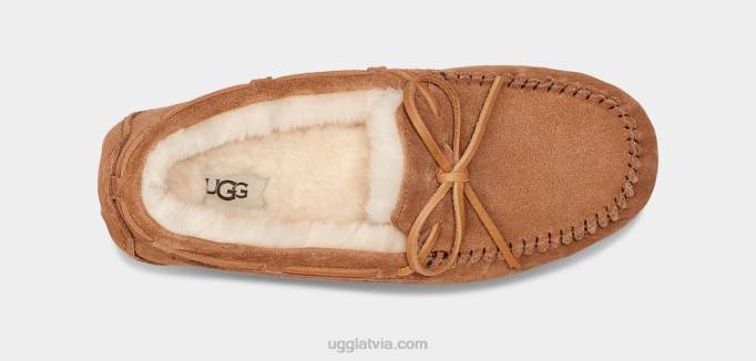 vīriešiem UGG olsen čības Z48J1543 kastanis