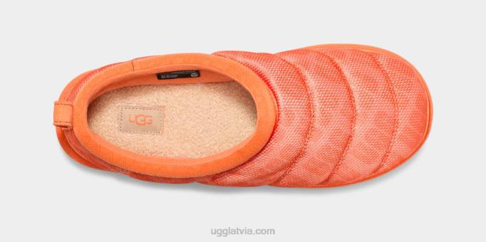 vīriešiem UGG tasman lta Z48J1434 saldais persiks