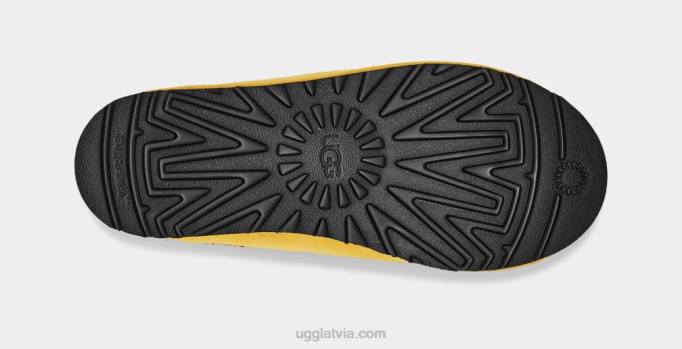vīriešiem UGG tasmans Z48J220 kukurūza