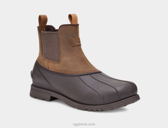 vīriešiem UGG Gatson Chelsea Z48J1520 kastanis
