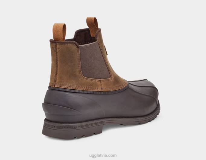 vīriešiem UGG Gatson Chelsea Z48J1520 kastanis