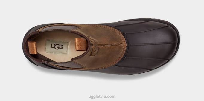 vīriešiem UGG Gatson Chelsea Z48J1520 kastanis