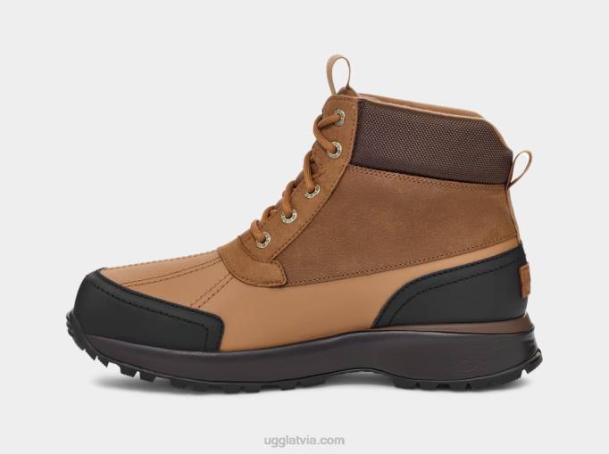 vīriešiem UGG emmett duck boot Z48J1492 kastanis