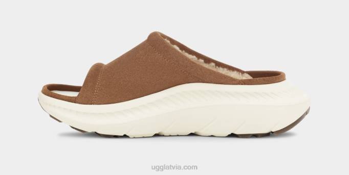 vīriešiem UGG ca805 v2 slaids Z48J1606 kastanis