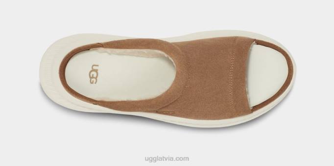 vīriešiem UGG ca805 v2 slaids Z48J1606 kastanis