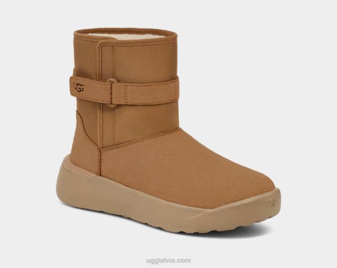 vīriešiem UGG klasiskais s Z48J1483 kastanis