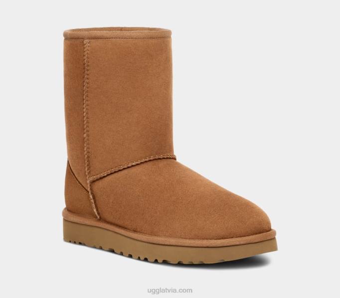 vīriešiem UGG klasisks īss Z48J1515 kastanis