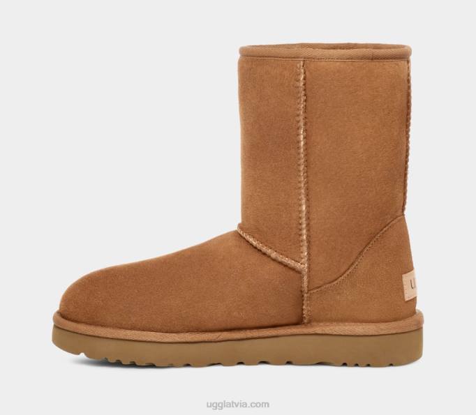 vīriešiem UGG klasisks īss Z48J1515 kastanis
