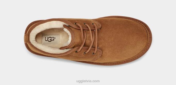 vīriešiem UGG neumel Z48J1414 kastanis