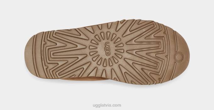 vīriešiem UGG neumel Z48J1414 kastanis