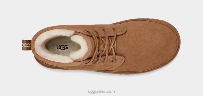 vīriešiem UGG neumel augsts Z48J1476 kastanis